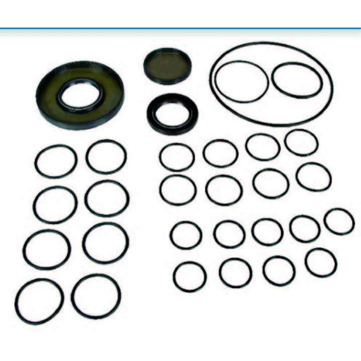 empaque parazzini 369802973 empaque parazzini 369802973