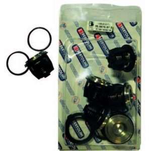 valvula parazzini 419870973