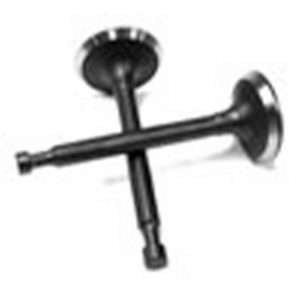 valvulas parazzini 12110z0101100000