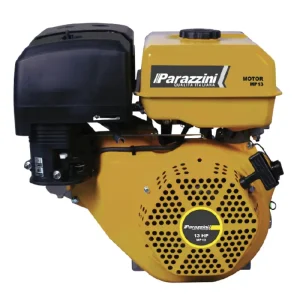 motor parazzini mp13