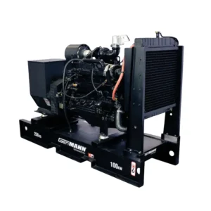 generador genmann gmd100 6068t1 3m