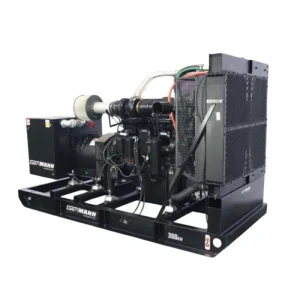 generador genmann gmd300 6135hf 3m