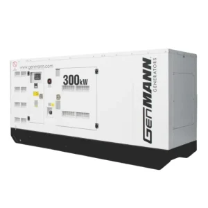 generador genmann gmd300 nta855g1b 3a 220v cas