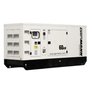 generador genmann gmd60 4bta3 9 g2 3a 220 vca