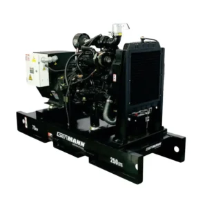 generador genmann gmd70 4045t2 3m