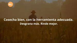 Desgranadora de maíz a gasolina operando en campo durante la cosecha