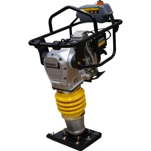 bailarina parazzini pbl