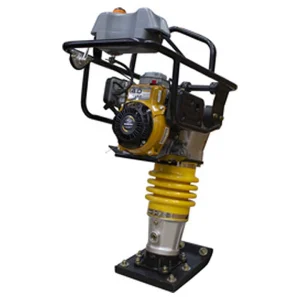 bailarina parazzini pbr